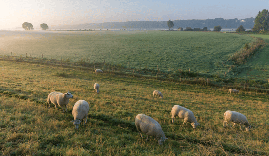 Vakantiehuis thema Vakantiehuis-februari